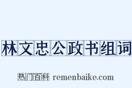 林文忠公政书组词是什么意思的图片